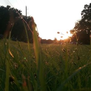 Meet your Posher, Alyse